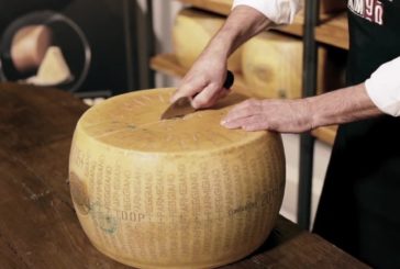 Il 2019 anno record per il Parmigiano Reggiano