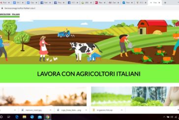 Cia lancia la piattaforma “Lavora con agricoltori italiani”