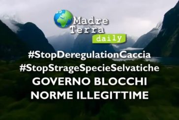 Caccia, Pecoraro Scanio: “Fermare regioni che vogliono estendere stagione”