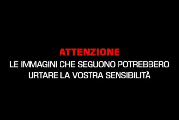 +++Video shock, decine di cadaveri ovunque, a terra dentro sacchi neri+++