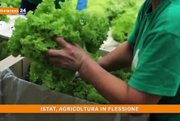 Istat, agricoltura in flessione