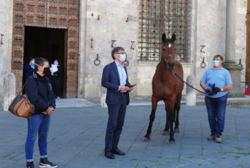 “Botticello” ha incontrato la sua nuova padrona