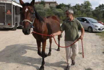 “Botticello” ha trovato casa e saluta la piazza