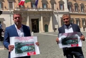 Pecoraro Scanio: “Mare non diventi discarica di mascherine”