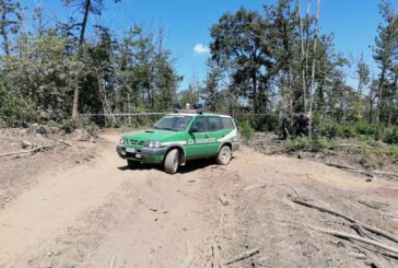 I Carabinieri Forestali sequestrano strade boschive