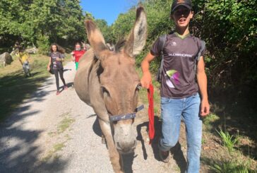 Scoprire i musei del Monte Amiata a dorso d’asino