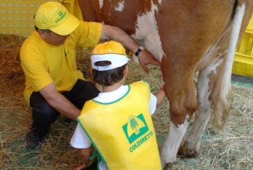 Coldiretti: “Fase 3: nel senese 20 fattorie aiutano le famiglie”