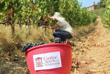 A settembre e ottobre torna Cantine Aperte in Vendemmia