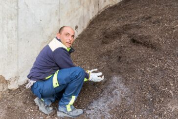 Green jobs, nuovo bando di Sienambiente