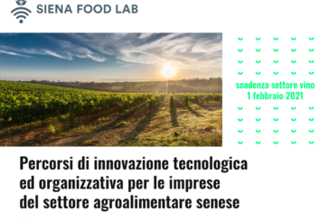 Siena Food Lab: prorogato il bando per la selezione di 20 aziende vitivinicole