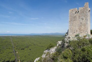 Ambiente: Parco Maremma, via libera a bilancio esercizio 2019