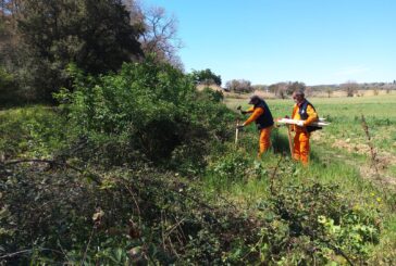 CB6: protezione dal rischio idraulico ma anche tutela degli animali