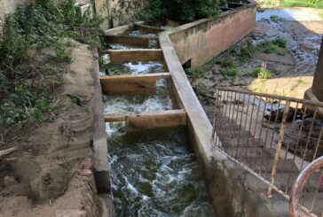 CB6 Toscana Sud impegnata a Ponte d’Arbia