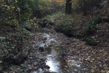 Il CB6 impegnato a mettere in sicurezza il torrente Tressa