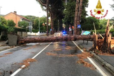 Maltempo: numerosi gli interventi dei Vigili del fuoco