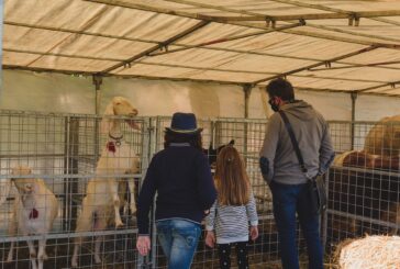 Torrita Biodiversità: 3ª Festa dell’Agri Cultura. Dedicata alle api