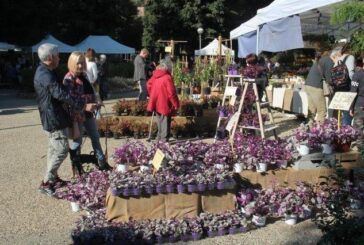 Due giorni di “Lizza in fiore”