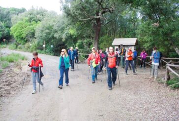 Mens Sana nordic walking: al via il corso base