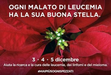 Le stelle di Natale dell’Ail tornano a colorare le piazze