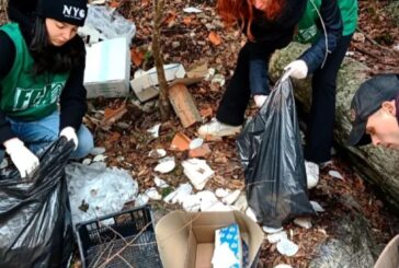 Foresta che Avanza: giornata di bonifica lungo il letto del torrente Rosia