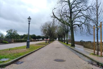 Fortezza: riaperto il tratto dopo potature e sostituzione di alberi