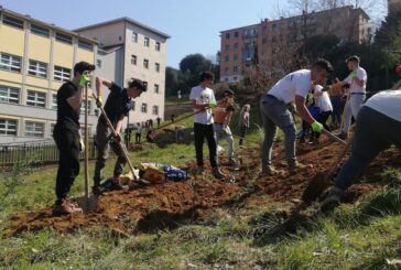 Bandini sostenibile: a dimora 60 piante nel giardino della scuola