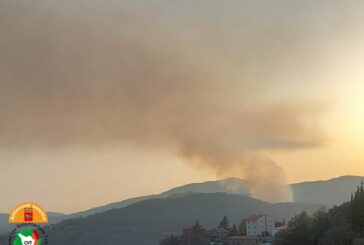 Incendi boschivi: fiamme nel Comune di Chiusdino