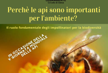 “Perchè le api sono importanti per l’ambiente?”. Evento di sensibilizzazione a Siena