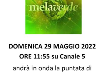 Casole d’Elsa protagonista a Mela Verde