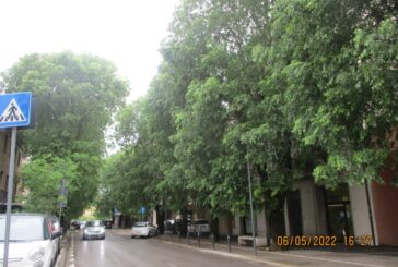 Le antiche strade e i grandi alberi per gli amministratori di Poggibonsi