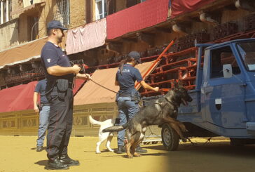 Palio di Provenzano: pronta la macchina della sicurezza