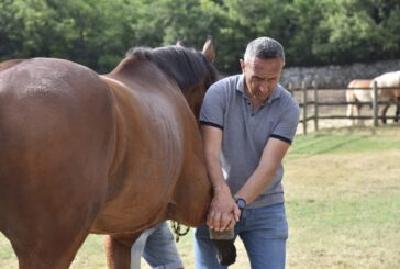 L’impegno dei veterinari dell’Asl Tse per il Palio di Siena