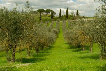 Con 687 beni confiscati alla mafia la Toscana è la nona regione in Italia