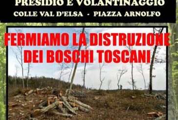 A difesa dei boschi toscani: presidio in piazza Arnolfo a Colle di Val d’Elsa