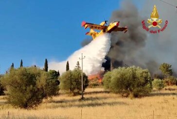 Cinigiano: ripreso l’incendio, tornano il Canadair e i mezzi aerei Aib