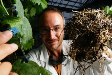 Alla Certosa di Pontignano si parla di “Plant Revolution” con Stefano Mancuso