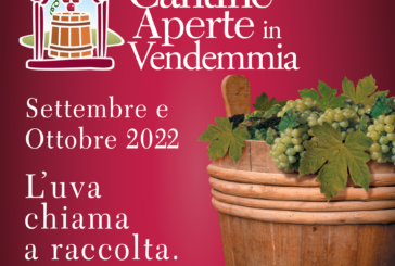 Vendemmia: cantine aperte in tutta la Toscana per assistere al rito magico