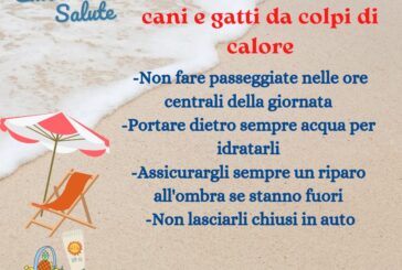 E state in salute. Cani e gatti: come difenderli dai colpi di calore