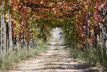 EcoPasseggiata del Chianti Classico al via domenica 16 ottobre