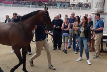 Palio: l’impegno dei veterinari dell’Ausl per la carriera