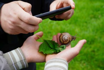 Nasce lo “Sportello della Biodiversità” al Museo di Storia Naturale dei Fisiocritici 