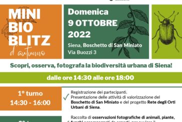 MiniBioBlitz d’autunno nel Boschetto di San Miniato