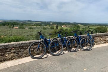 Rapolano: Camminata tra gli Olivi con percorsi a piedi e in bicicletta