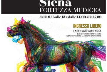 A Siena la prima rassegna di puledri anglo-arabi