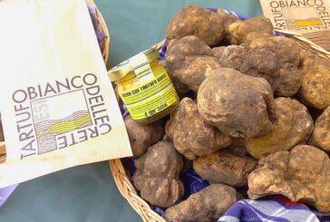 Il Tartufo Bianco delle Crete Senesi vi aspetta a tavola