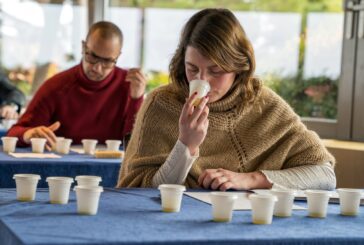 In partenza a Siena il corso A.I.R.O. per assaggiatori d’olio