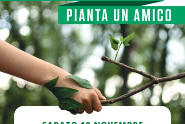 Ecosistema urbano: Siena migliora le performance ambientali