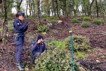 Controlli di Carabinieri Forestali e Nil nei boschi