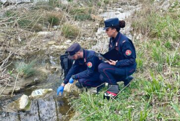 Moria di pesci nel torrente Copra: intervengono i Carabinieri Forestali