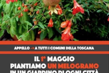 A maggio piantiamo un melograno: Asciano ricorda le stragi di migranti